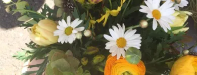 Unternehmen 11 Bild VERT'TIGE Nahrungs-/Genussmittel am Neuchâtel NE