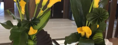 Unternehmen 17 Bild VERT'TIGE Nahrungs-/Genussmittel am Neuchâtel NE