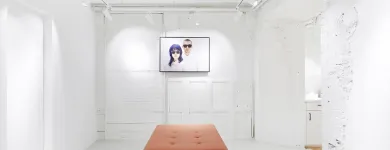 Entreprises 3 image VIU EYEWEAR Textil/Bekleidung dans Schaffhausen SH