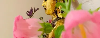Unternehmen 2 Bild WAT PHOO Massageinstitute am Berne BE