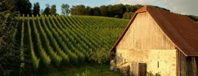 Entreprises 4 image WEINGUT KLOSTERHOF Weinkellereien dans Aesch Lu LU