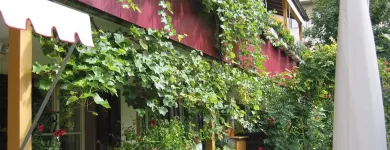 Entreprises 17 image WENK GARTEN Land-/Forstwirtschaft/Fischerei dans Riehen BL