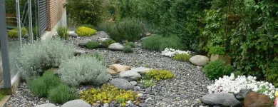 Entreprises 3 image WENK GARTEN Land-/Forstwirtschaft/Fischerei dans Riehen BL
