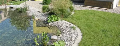 Entreprises 2 image WENK GARTEN Land-/Forstwirtschaft/Fischerei dans Riehen BL