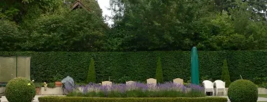 Entreprises 11 image WENK GARTEN Land-/Forstwirtschaft/Fischerei dans Riehen BL