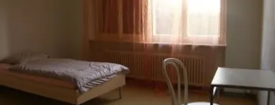 Unternehmen 1 Bild WG SUNSHINE AG Wohnungsmarkt am Wallisellen ZH