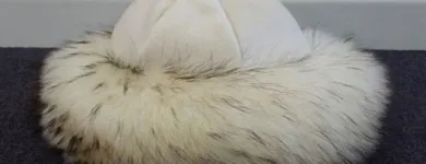 Immagine 13 azienda WYSSBROD DIETER AG Textil/Bekleidung in Zurich ZH