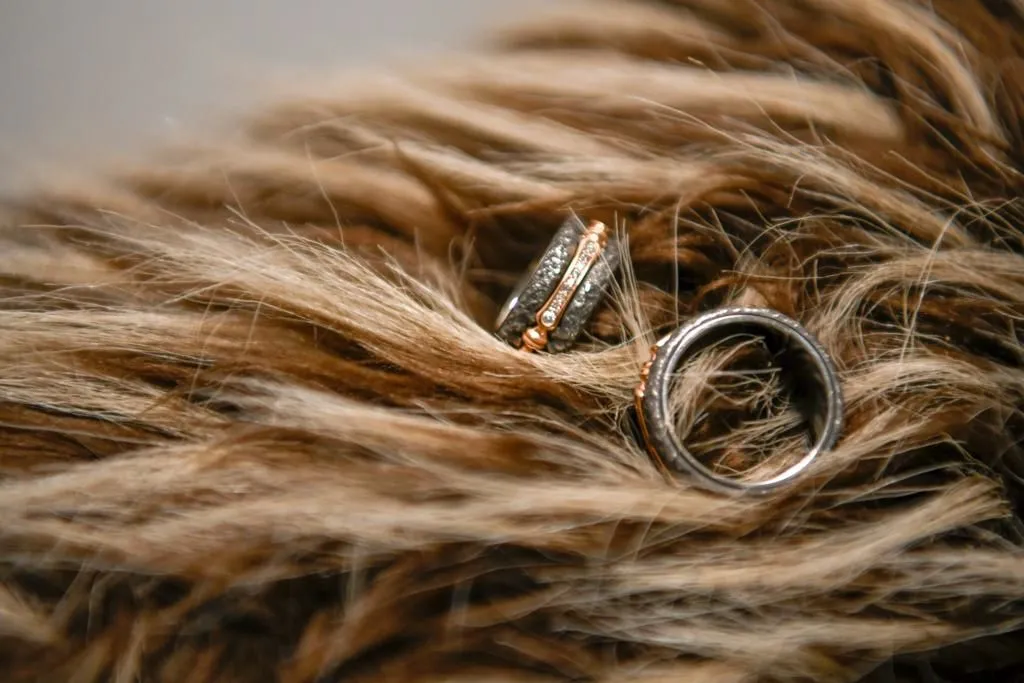 Immagine 1 azienda HOCHZEITSFOTOGRAF FOTOHAHN