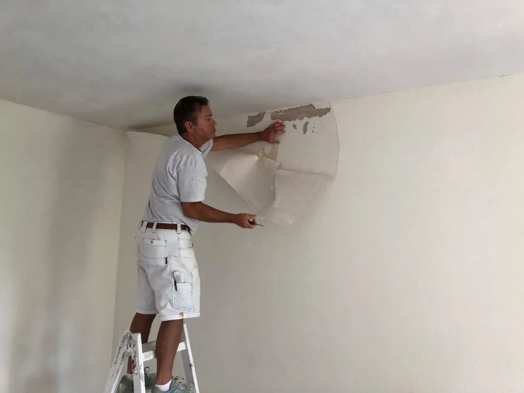 Immagine 10 azienda PETER WIDMER MALERGESCHÄFT