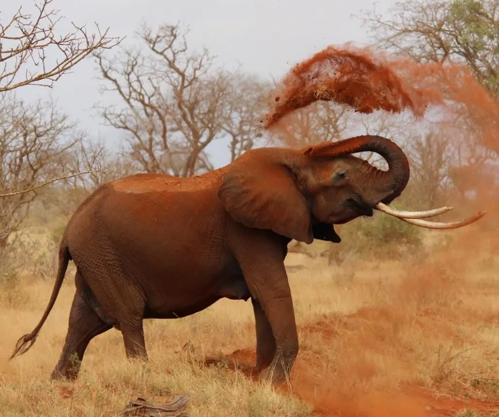 Unternehmen 1 Bild VÖGELE REISEN AG