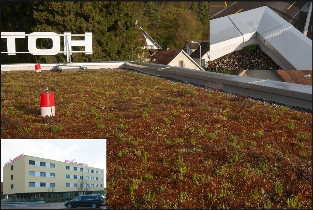 Immagine 3 azienda LÜTOLF DACH UND WAND AG