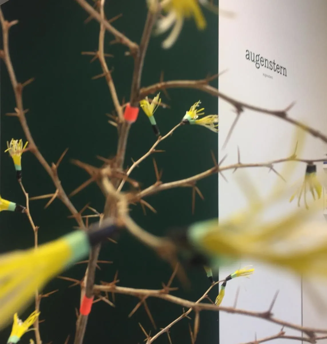 Immagine 5 azienda AUGENSTERN BRILLEN UND KONTAKTLINSEN