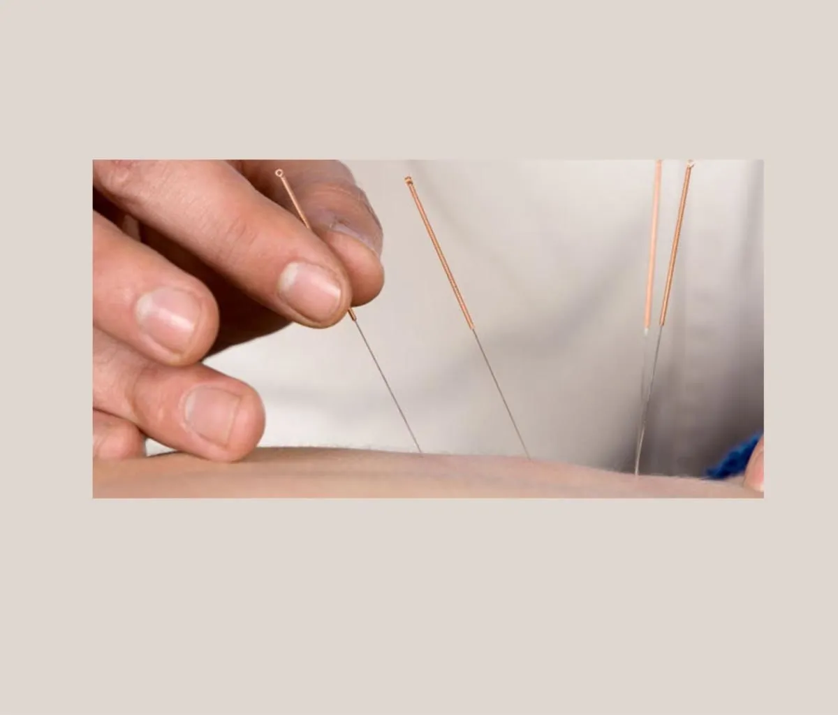 Entreprises 1 image MEIHUAMED ZENTRUM