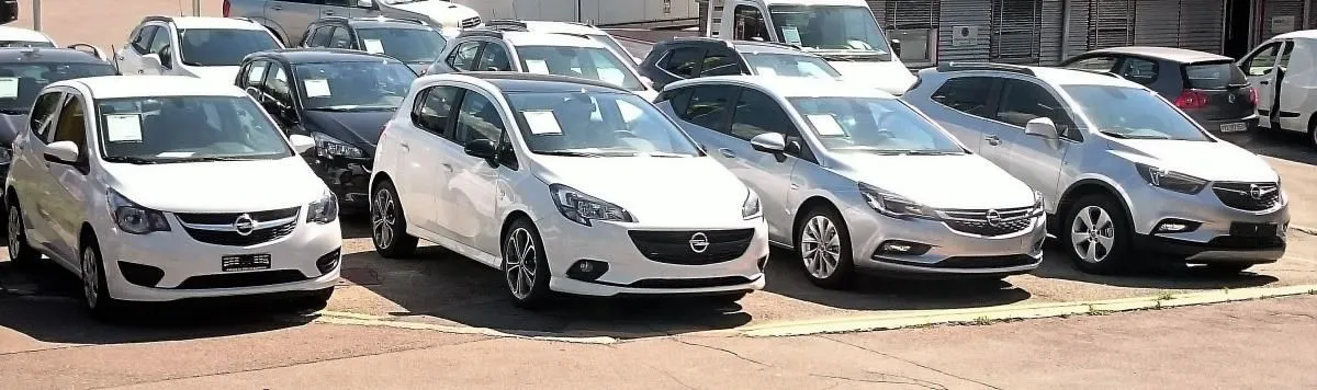 Immagine 11 azienda GARAGE MISTRAL DU SIMPLON