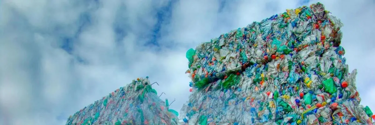 Immagine 2 azienda REWAG RECYCLING- UND ENTSORGUNGSCENTER WIGGERTAL AG