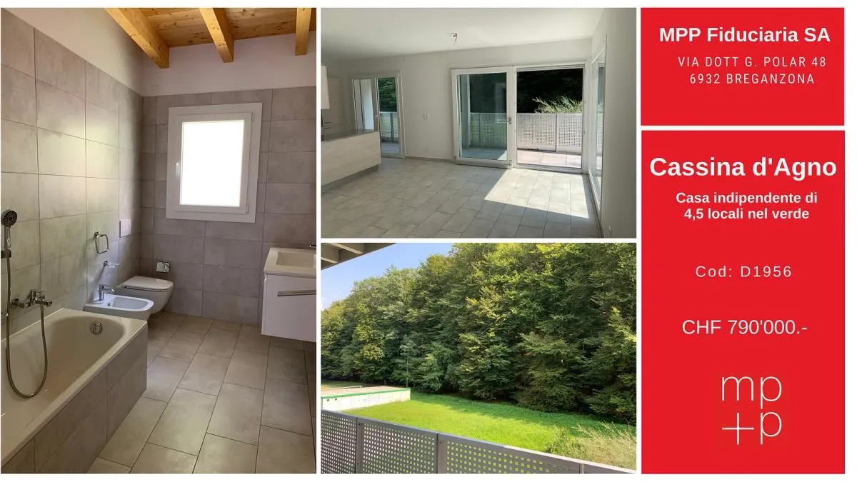 Immagine 16 azienda MPP FIDUCIARIA SA