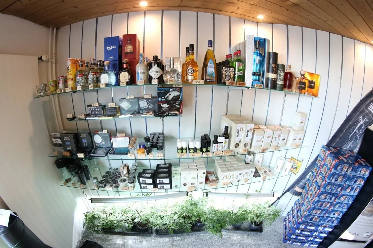 Immagine 10 azienda HANFBOB'S GROW & HEADSHOP