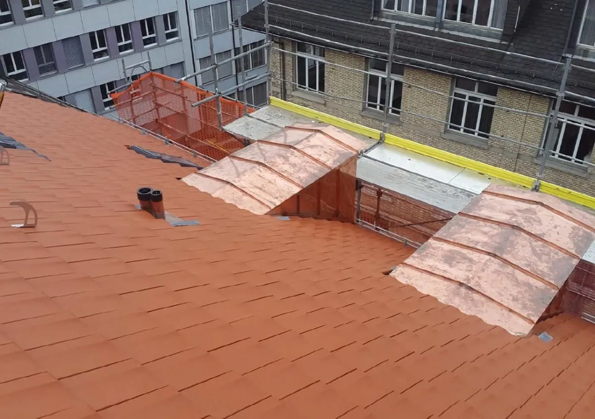 Immagine 1 azienda J. FREHNER'S SÖHNE AG