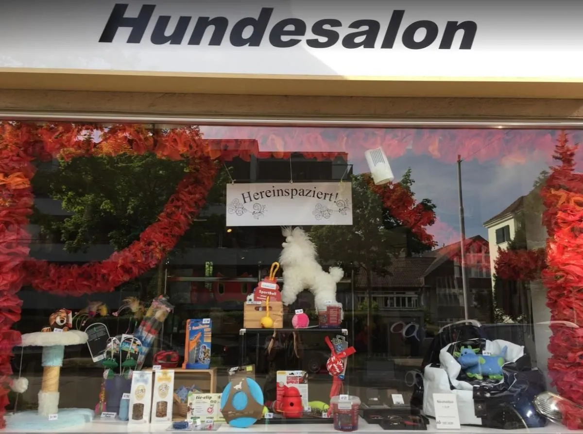 Unternehmen 1 Bild DOG & MORE