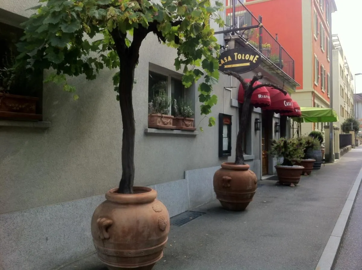 Unternehmen 5 Bild CASA TOLONE RISTORANTE - VINOTECA