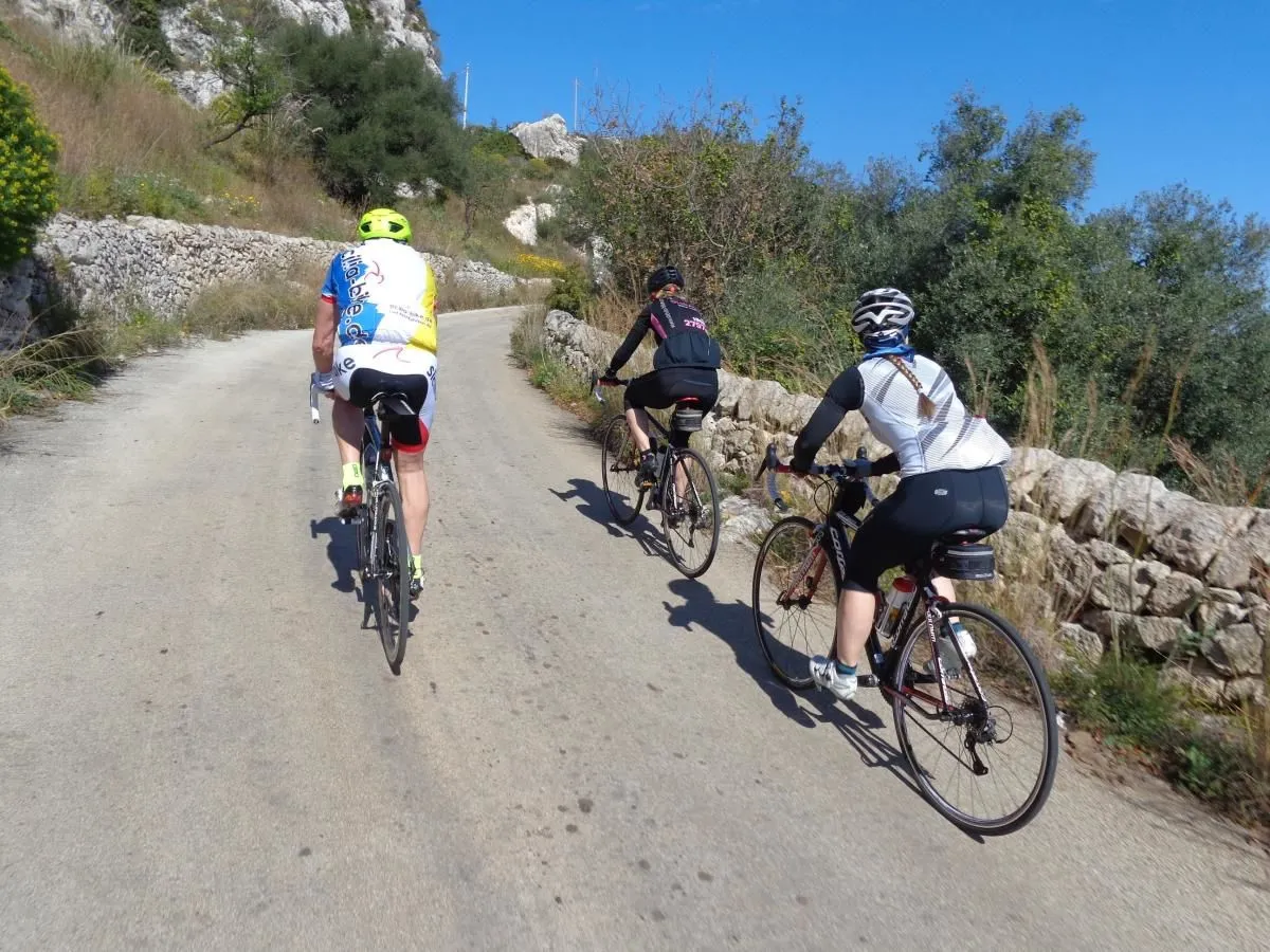 Unternehmen 10 Bild SICILIA BIKE