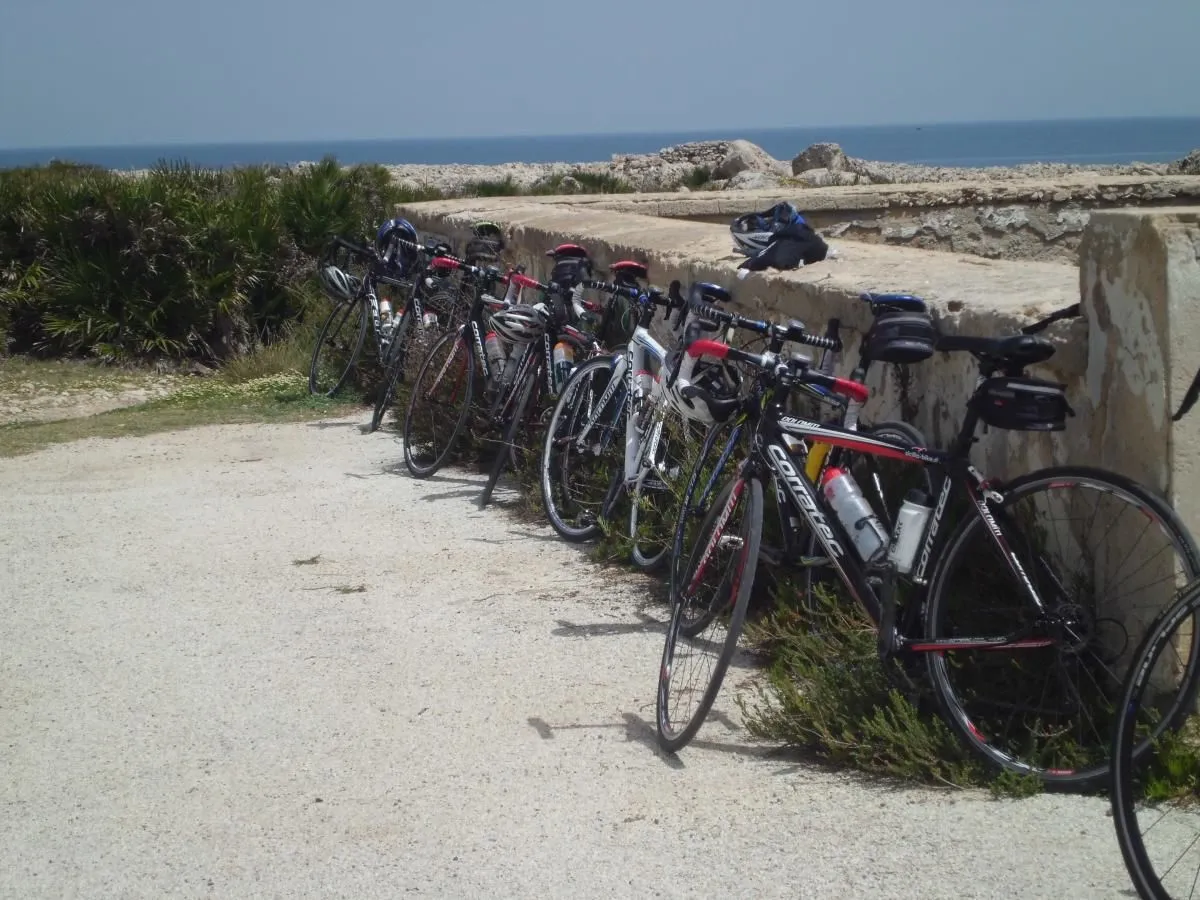 Unternehmen 8 Bild SICILIA BIKE