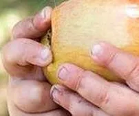 Immagine 21 azienda SMALLWORLD KITA UND KINDERHÜTEDIENST