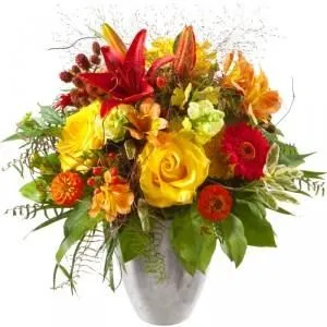 Unternehmen 6 Bild ORCHIDEEN WEBER GMBH