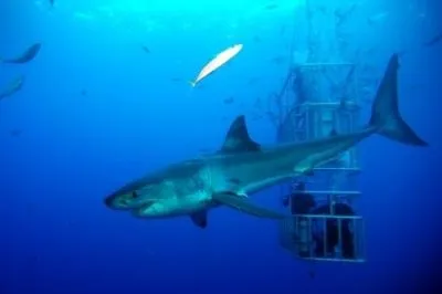 Entreprises 3 image HANG LOOSE TRAVELSERVICE