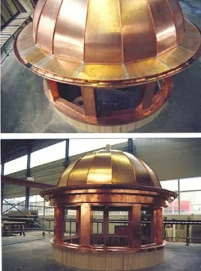 Immagine 1 azienda LIPS ERNST AG