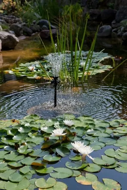 Unternehmen 11 Bild RESTAURANT OBERES TRIEMLI