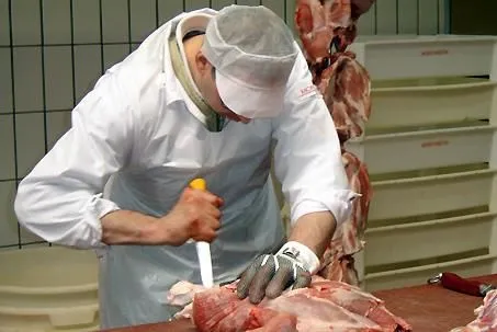 Immagine 7 azienda KOCH DULLIKEN AG