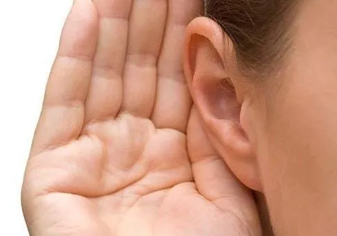 Immagine 1 azienda HÖRBERATUNG ROTH