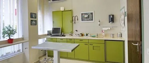 Entreprises 2 image ACACIA CENTRO VETERINARIO CLINICA, PARADISO