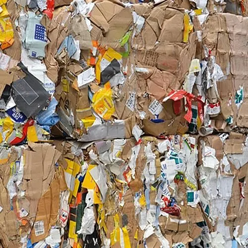 Immagine 4 azienda THOMMEN AG BERN