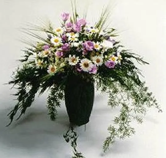 Unternehmen 2 Bild ORCHIDEEN WEBER GMBH