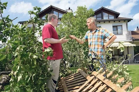 Immagine 4 azienda HAUSEIGENTÜMERVERBAND BASEL-STADT