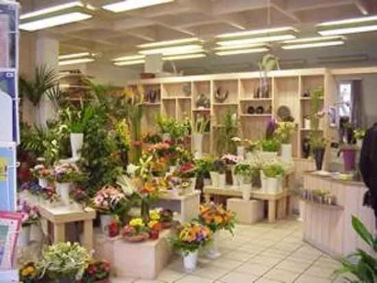 Unternehmen 7 Bild BLUMEN PFISTER