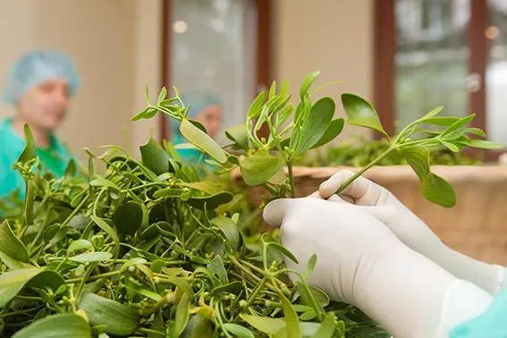 Entreprises 12 image ISCADOR AG