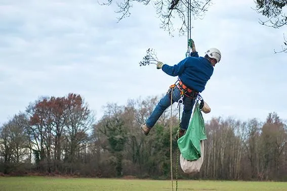 Entreprises 2 image ISCADOR AG