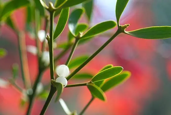 Entreprises 10 image ISCADOR AG