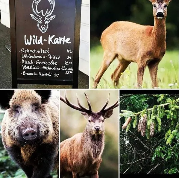 Immagine 2 azienda RESTAURANT MARCELLINO PANE E VINO