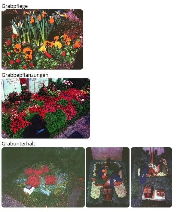 Unternehmen 5 Bild BLUMEN PFISTER