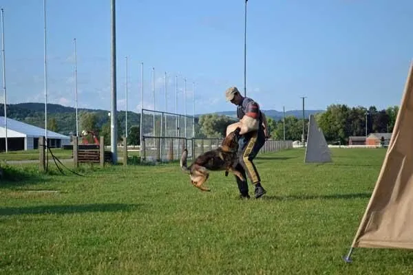 Unternehmen 6 Bild HAPPYPARADISE HUNDESALON
