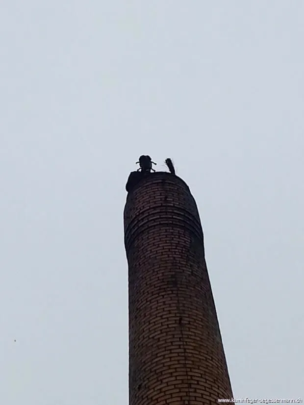 Immagine 5 azienda KAMINFEGERGESCHÄFT SEGESSENMANN