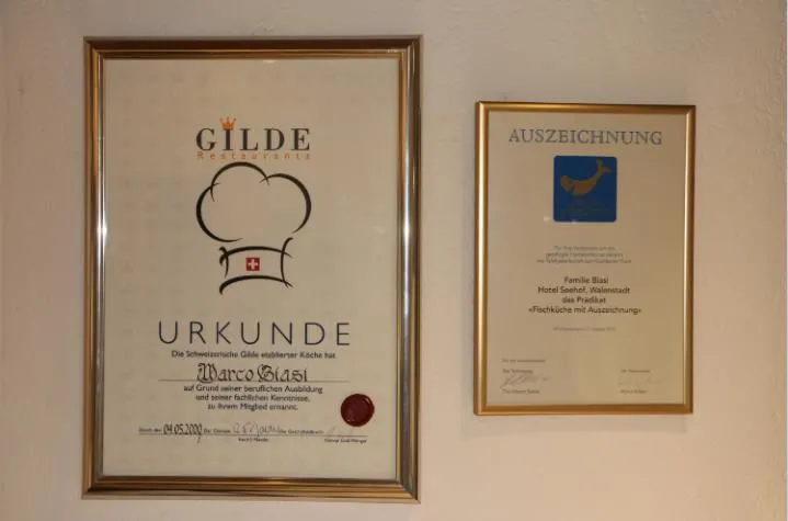 Immagine 4 azienda SEEHOF