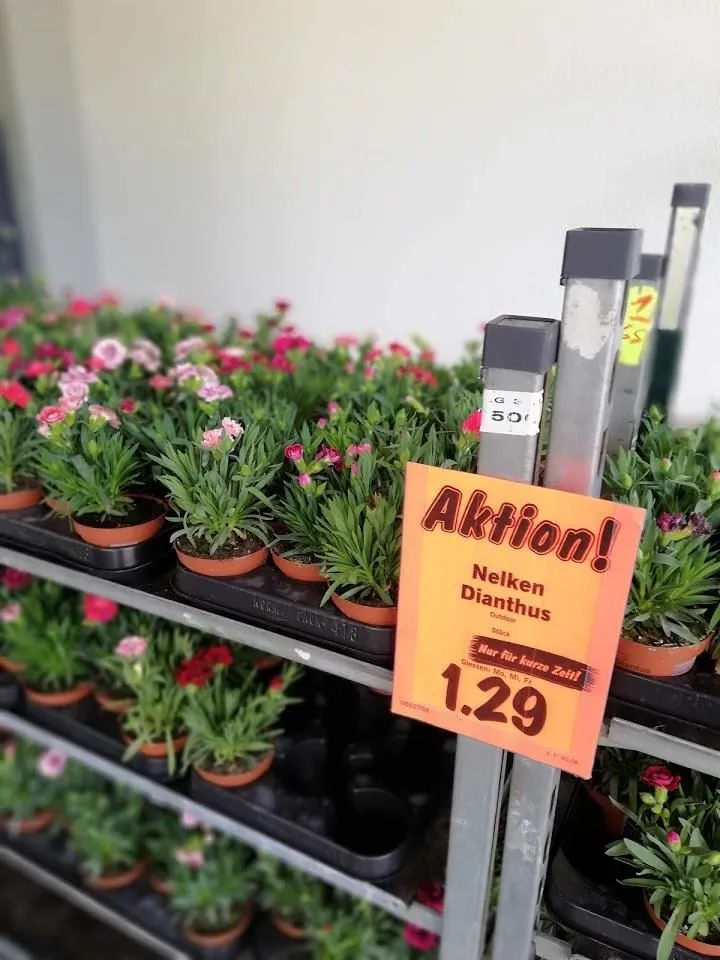 Unternehmen 2 Bild LIDL SCHWEIZ