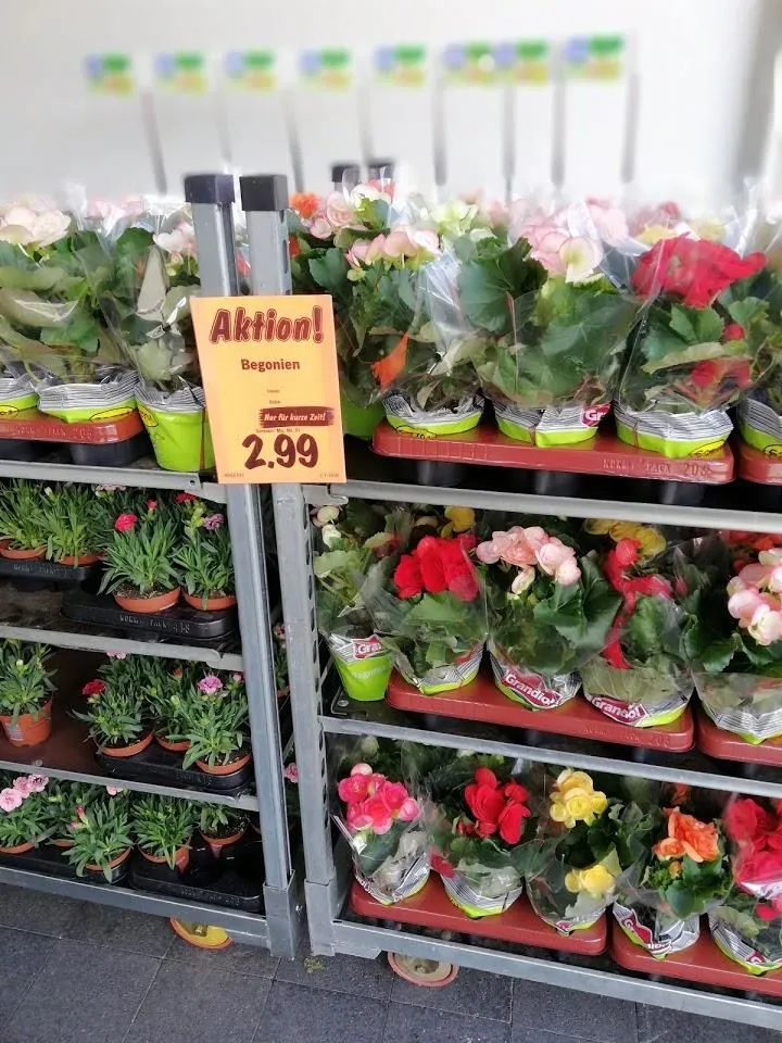 Unternehmen 28 Bild LIDL SCHWEIZ