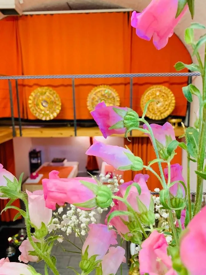 Unternehmen 4 Bild WAT PHOO