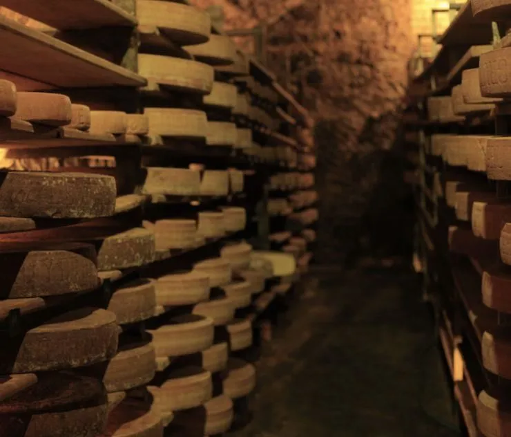 Unternehmen 1 Bild LA MAISON DU FROMAGE STERCHI
